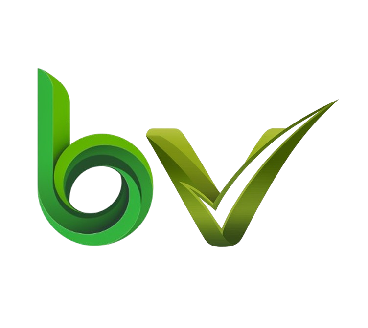 bValue Venture Logo